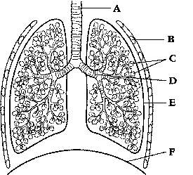 resources